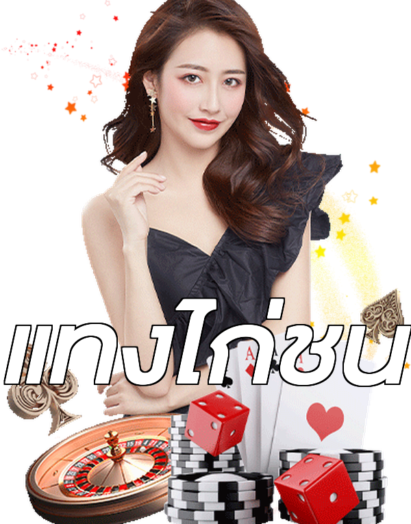 แทงไก่ชน